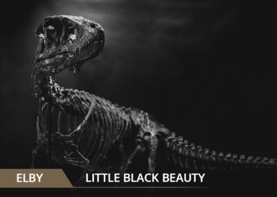 Elby : little black beauty