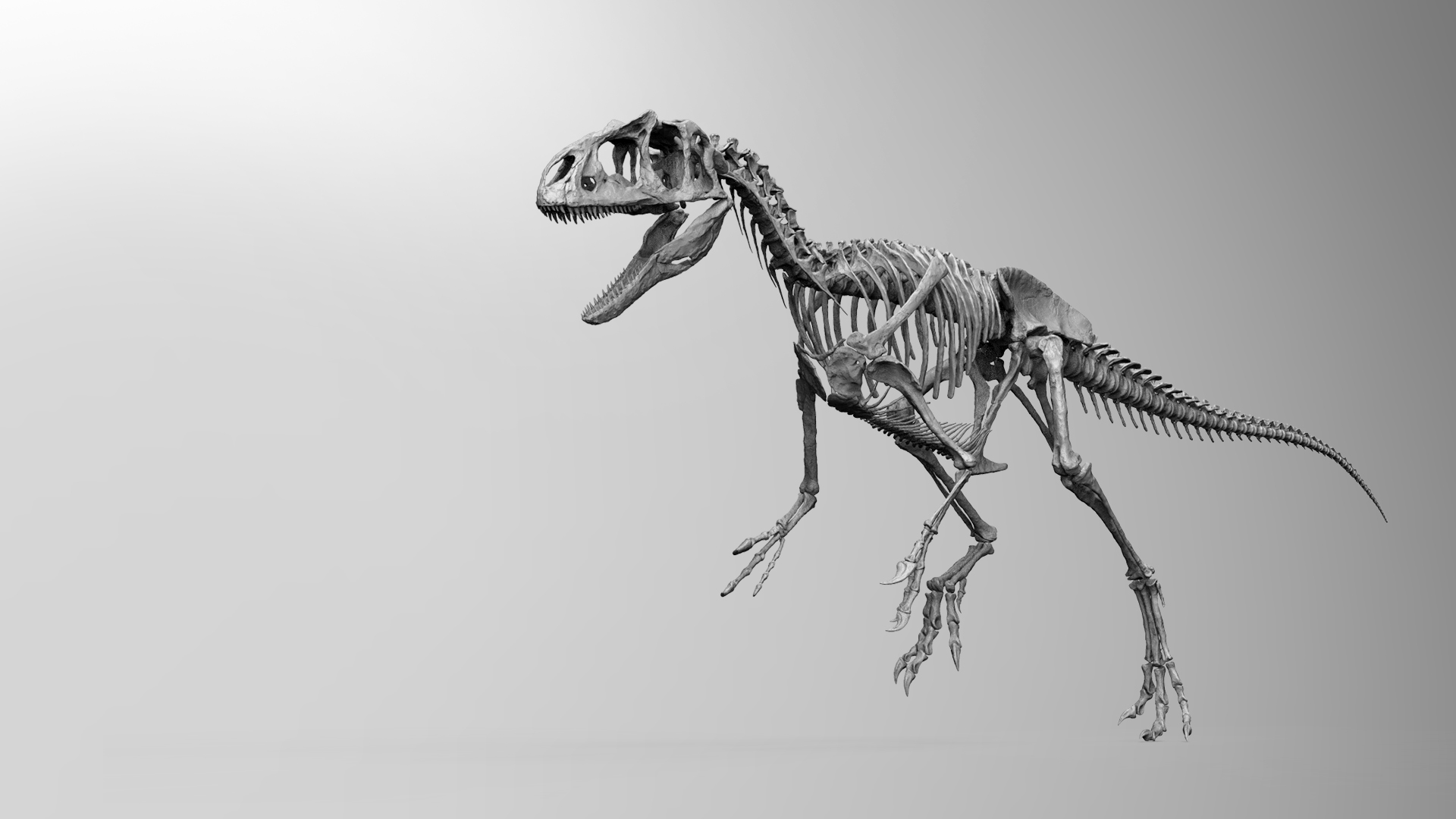 juvenile-allosaurus01